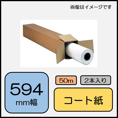 カラー専用紙 マットコート紙 594mm×50m 2本 (SPC-A1)