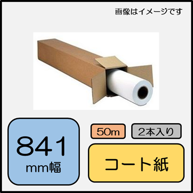カラー専用紙 マットコート紙 841mm×50m 2本 (SPC-A0)