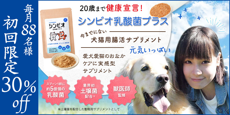 期間限定！シンビオ乳酸菌プラスが初回30%オフ！