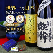 送料無料 あらわざ桜島 鉄幹 900ml 2本セット 芋焼酎 本坊酒造 オガタマ酒造