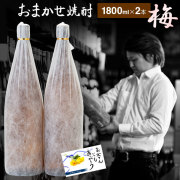 送料無料 おまかせ 芋焼酎 飲み比べセット【梅】 25度 1800ml×2本 限定焼酎 通販