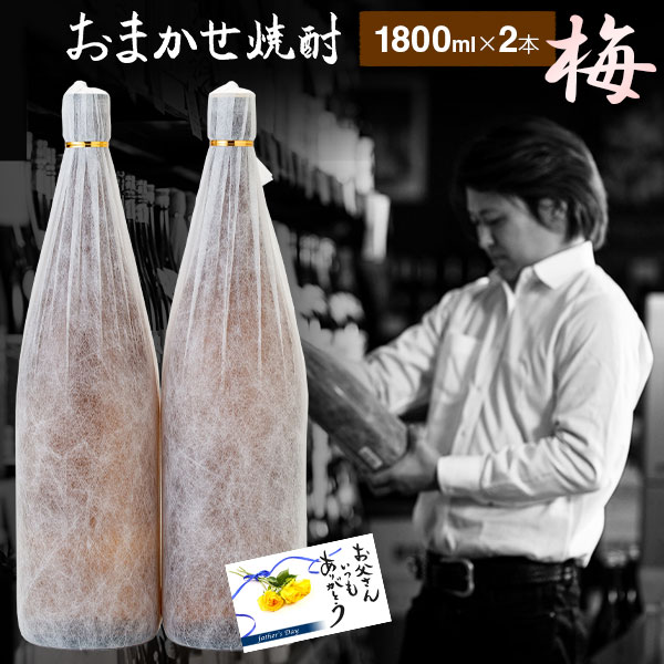 送料無料 酒舗三浦屋 おまかせ 芋焼酎飲み比べセット【梅】 25度 1800ml×2本 限定焼酎 通販