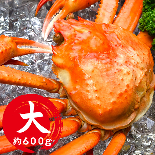 香住産 茹で香住がに 大 1匹 [お歳暮 母の日 敬老の日 ギフト]