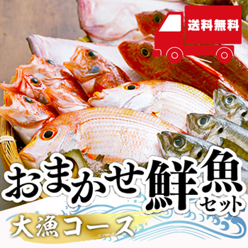 【送料無料】 おまかせ鮮魚セット 大漁コース