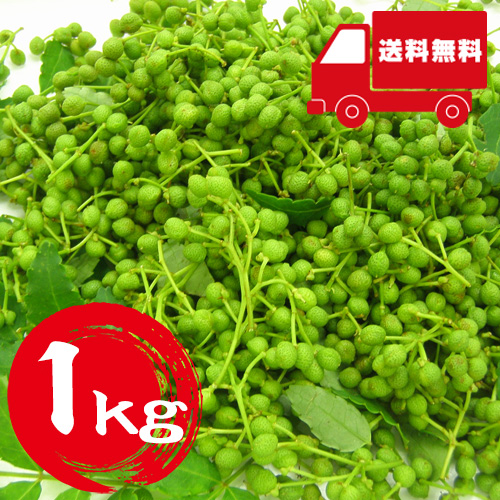【送料無料】 兵庫県産 実山椒 約1kg 【5月下旬以降のお届け予定】