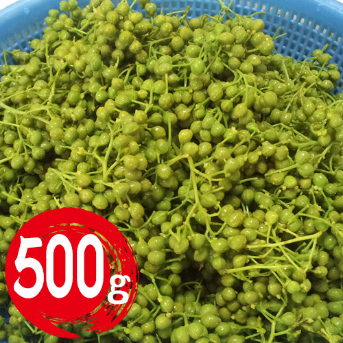 【送料無料】兵庫県産 実山椒 約500g 【5月下旬以降のお届け予定】