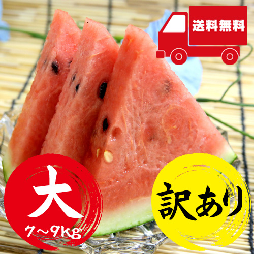 【送料無料】 鳥取産 大玉すいか 大 1玉 7～9kg 訳あり [お中元 ギフト]
