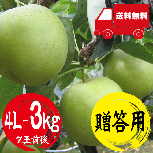 【送料無料】 鳥取産 二十世紀梨 4L 3kg 7玉前後 贈答用 8月下旬以降のお届け予定