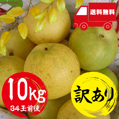 【送料無料】 鳥取産 二十世紀梨 10kg 34玉前後 訳あり 自宅用 家庭用 9月上旬以降のお届け予定