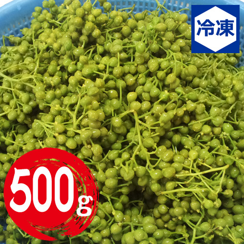 【送料無料】兵庫県産 実山椒 約500g 冷凍 あく抜き済み 【6月上旬以降のお届け予定】