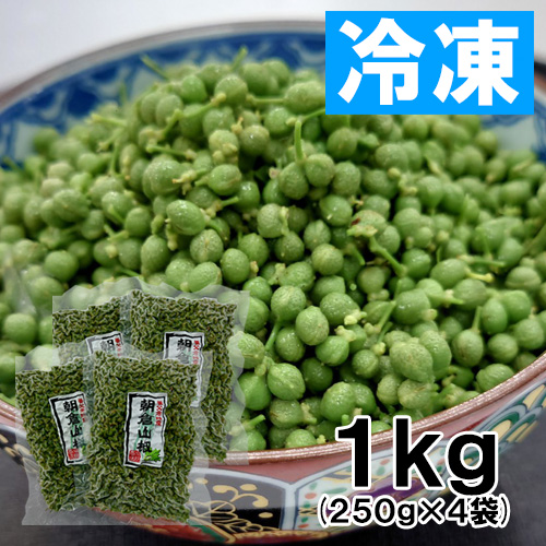 【送料無料】養父市特産 朝倉山椒 約1kg 冷凍 あく抜き済み【6月上旬以降のお届け予定】