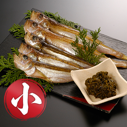 香住産 干ハタハタ 小 約600g 20尾前後 [お中元 お歳暮 母の日 父の日 敬老の日 ギフト]