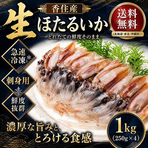 【送料無料】 香住産 生ほたるいか 1kg [お中元 お歳暮 母の日 父の日 敬老の日 ギフト]