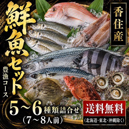 【送料無料】 おまかせ鮮魚セット 豊漁コース [お中元 母の日 父の日 敬老の日 ギフト]
