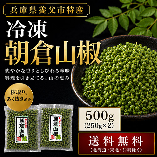 【送料無料】養父市特産 朝倉山椒 約500g 冷凍 あく抜き済み【6月下旬以降のお届け予定】