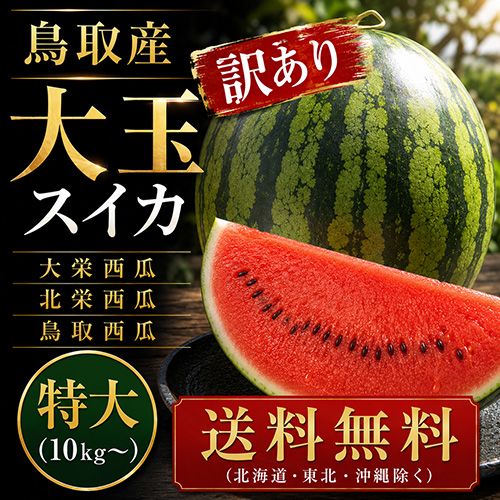 【送料無料】 鳥取産 大玉すいか 特大 1玉 10kg～ 訳あり [お中元 ギフト]