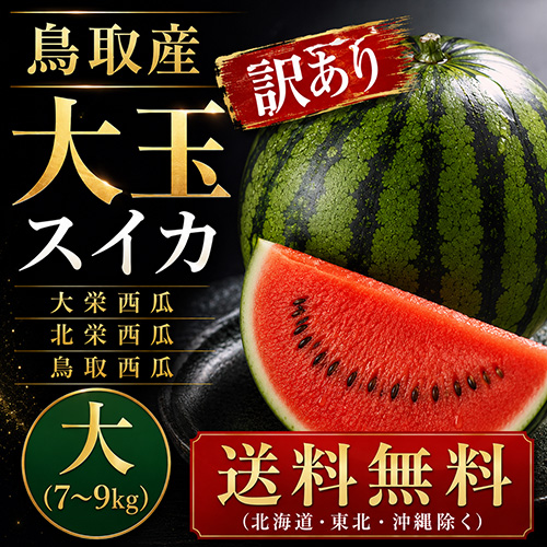 【送料無料】 鳥取産 大玉すいか 大 1玉 7～9kg 訳あり [お中元 ギフト]