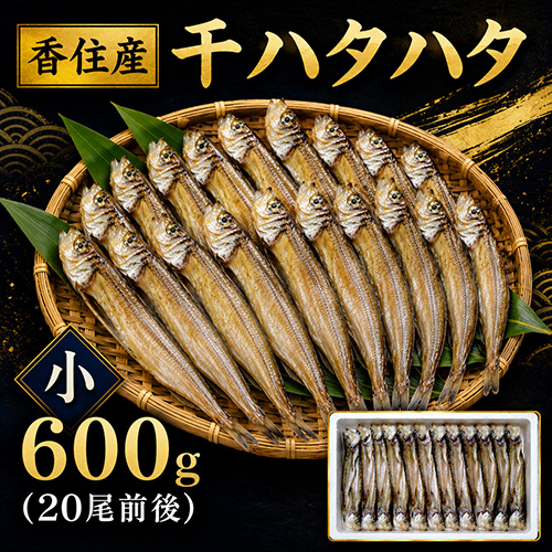 香住産 干ハタハタ 小 約600g 20尾前後 [お中元 お歳暮 母の日 父の日 敬老の日 ギフト]
