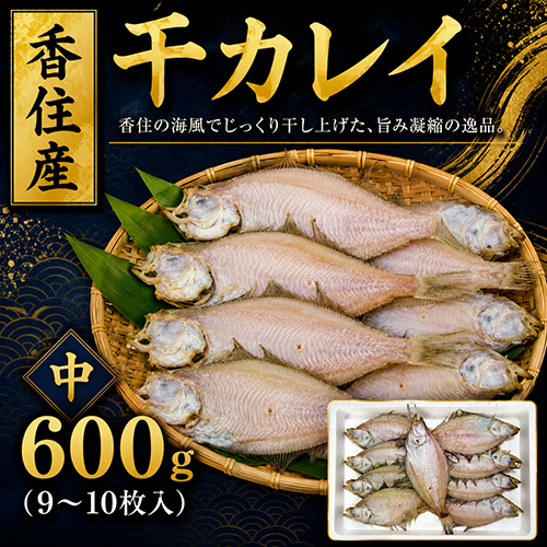 香住産 干カレイ 中 約600g 9～10枚 [お中元 お歳暮 母の日 父の日 敬老の日 ギフト]