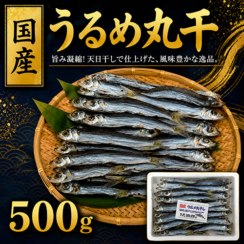 国産 うるめ丸干 500g [お中元 お歳暮 母の日 父の日 敬老の日 ギフト]