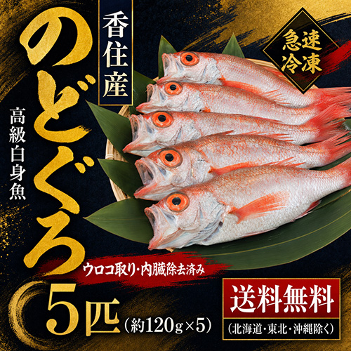 【送料無料】 香住産 のどぐろ 5匹 冷凍 ウロコ・内臓処理済 [お中元 お歳暮 母の日 父の日 敬老の日 ギフト]