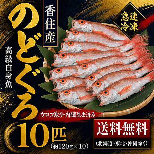 【送料無料】 香住産 のどぐろ 10匹 冷凍 ウロコ・内臓処理済 [お中元 お歳暮 母の日 父の日 敬老の日 ギフト]