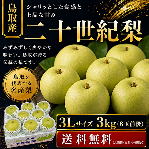 【送料無料】 鳥取産 二十世紀梨 3L 3kg 8玉前後 贈答用 8月下旬以降のお届け予定