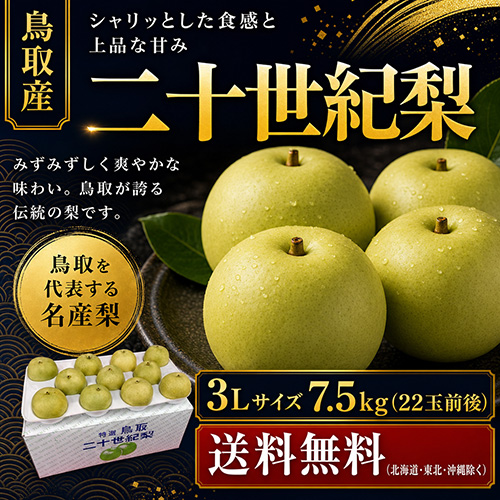 【送料無料】 鳥取産 二十世紀梨 3L 7.5kg 22玉前後 贈答用 8月下旬以降のお届け予定