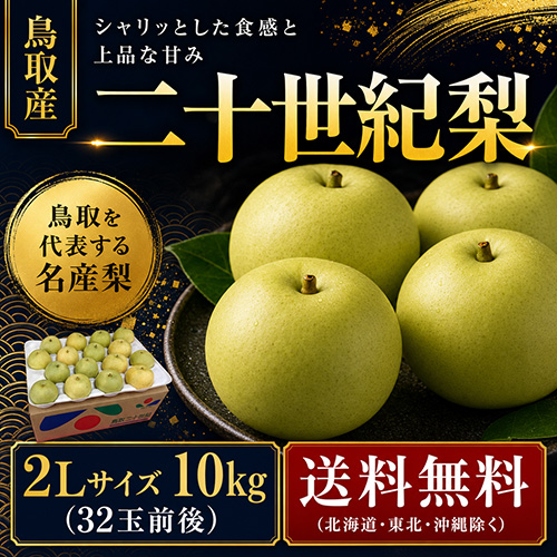 【送料無料】 鳥取産 二十世紀梨 2L 10kg 32玉前後 贈答用 8月下旬以降のお届け予定