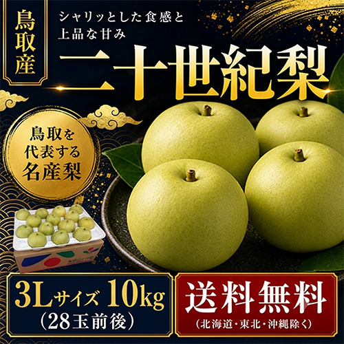【送料無料】 鳥取産 二十世紀梨 3L 10kg 28玉前後 贈答用 8月下旬以降のお届け予定