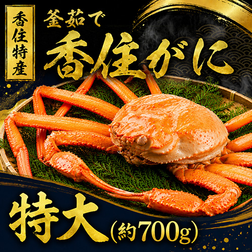 香住産 茹で香住がに 特大 1匹 [お歳暮 母の日 敬老の日 ギフト]