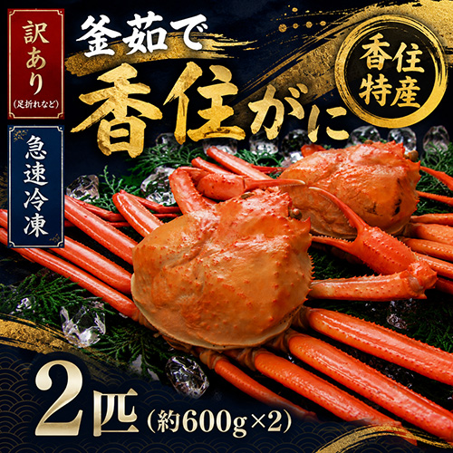 【送料無料】【冷凍】 香住産 茹で香住がに 2匹 訳あり 約1.2kg