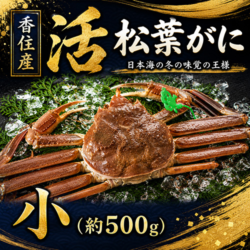 香住産 活松葉がに 小 1匹 約500g [お歳暮 ギフト]