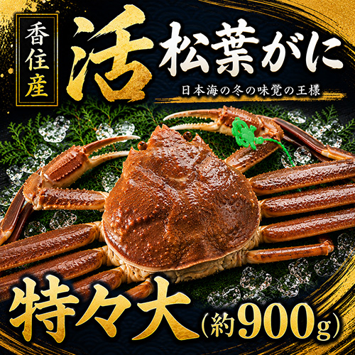 香住産 活松葉がに 特々大 1匹 約900g [お歳暮 ギフト]