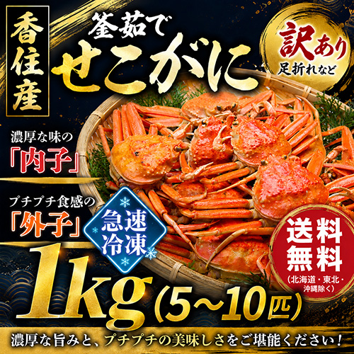 【送料無料】 冷凍 香住産 茹でせこがに 5～10匹 約1kg 訳あり