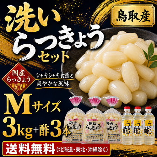 【送料無料】 鳥取産 洗いらっきょうセット Ｍ 3kg+酢（5月下旬以降のお届け）