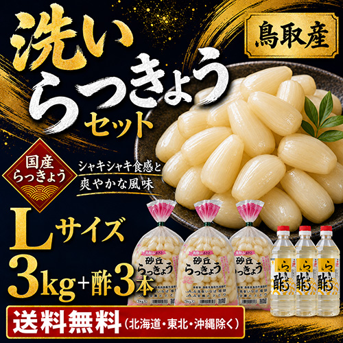 【送料無料】 鳥取産 洗いらっきょうセット Ｌ 3kg+酢（5月下旬以降のお届け）