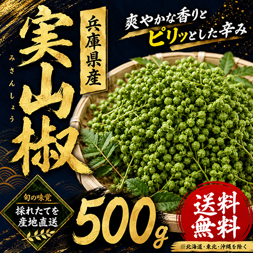 【送料無料】兵庫県産 実山椒 約500g 【5月下旬以降のお届け予定】