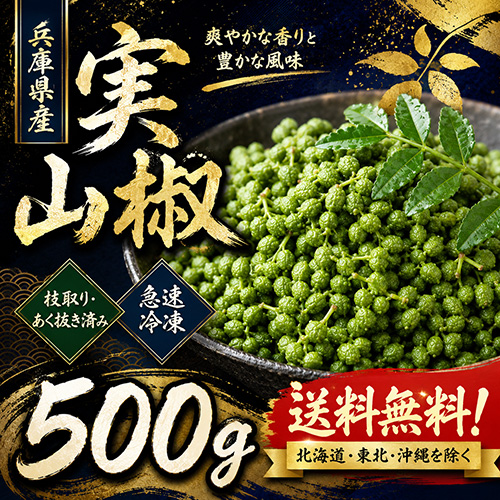 【送料無料】兵庫県産 実山椒 約500g 冷凍 あく抜き済み