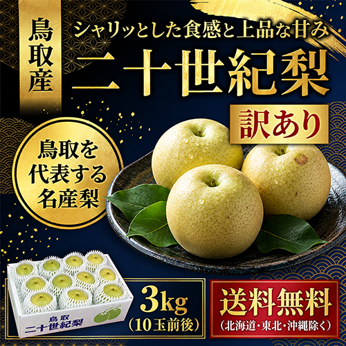 【送料無料】 鳥取産 二十世紀梨 3kg 9玉前後 訳あり 9月上旬以降のお届け予定