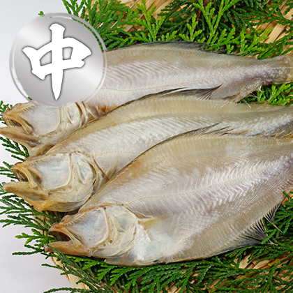 香住産 干カレイ 中 約600g 9～10枚 [お中元 お歳暮 母の日 父の日 敬老の日 ギフト]