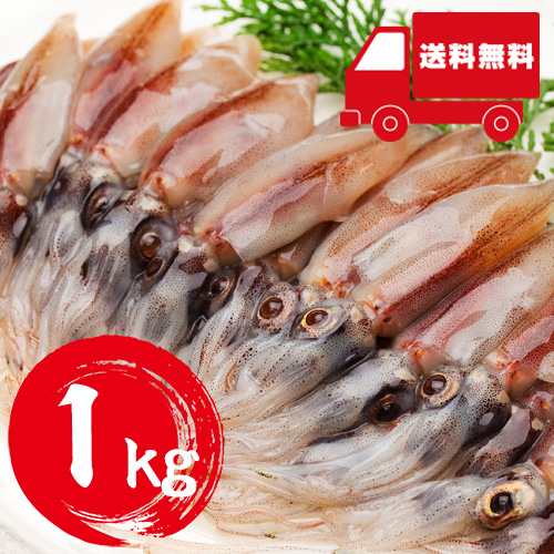 【送料無料】 香住産 生ほたるいか 1kg【3月下旬以降発送予定】