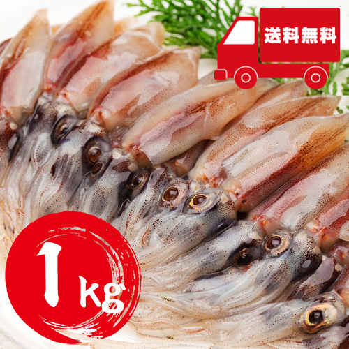 【送料無料】 香住産 生ほたるいか 1kg