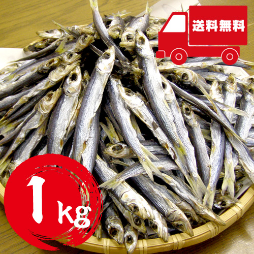 【送料無料】 国産 うるめ丸干 1kg