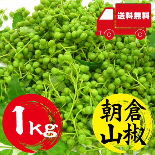 【送料無料】 養父市特産 朝倉山椒 約1kg 【5月中旬以降のお届け予定】