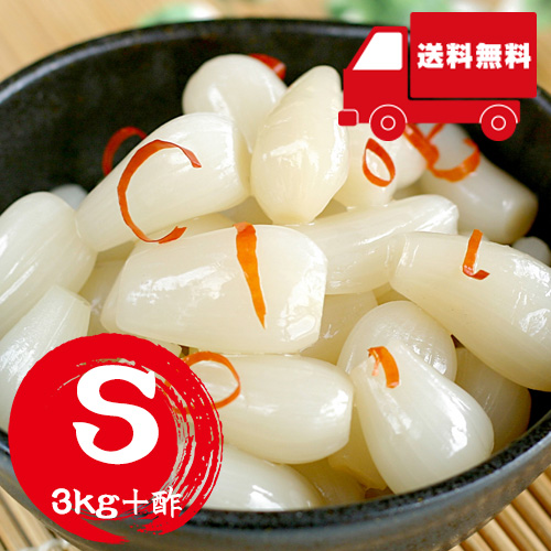 【送料無料】 鳥取産 洗いらっきょうセット S 3kg+酢（5月下旬以降のお届け）