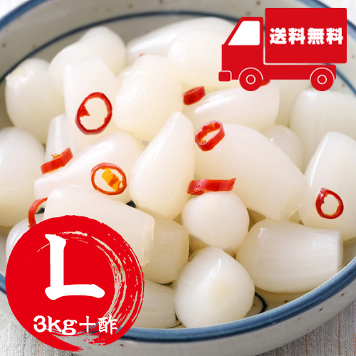 【送料無料】 鳥取産 洗いらっきょうセット Ｌ 3kg+酢（5月下旬以降のお届け）