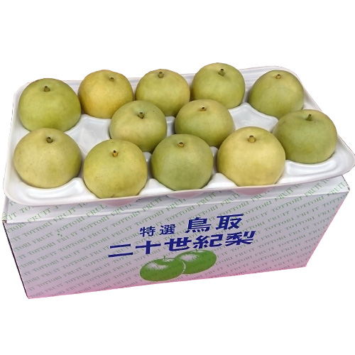 送料無料】 鳥取産 二十世紀梨 2L 7.5kg 24玉前後 贈答用