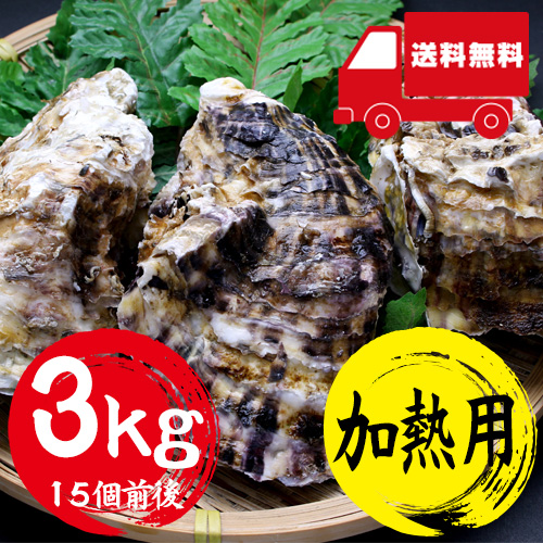 【送料無料】 香住産 天然岩牡蠣 3kg 15個前後 加熱用