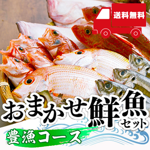 【送料無料】 おまかせ鮮魚セット 豊漁コース